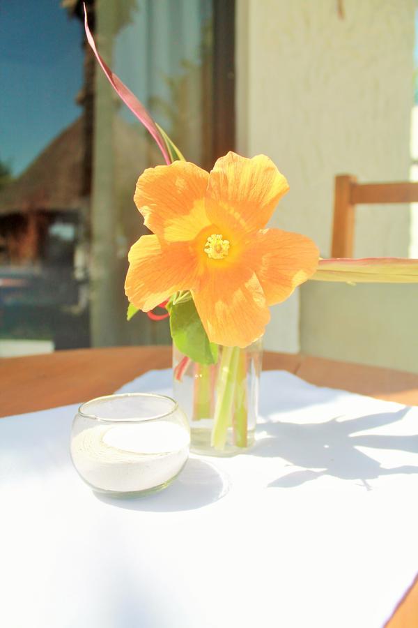 Maya Hotel Residence Isla Holbox Ngoại thất bức ảnh